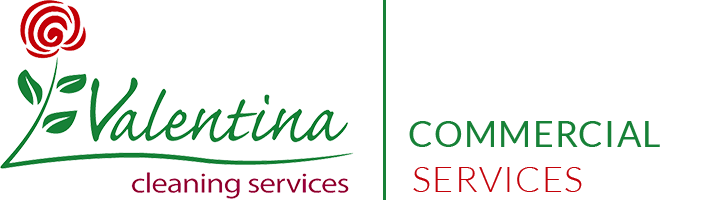 Valentina Cleaning Services Logo